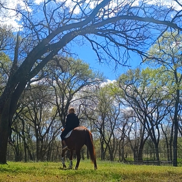 Meet your Posher, M - Picture 2 of 3